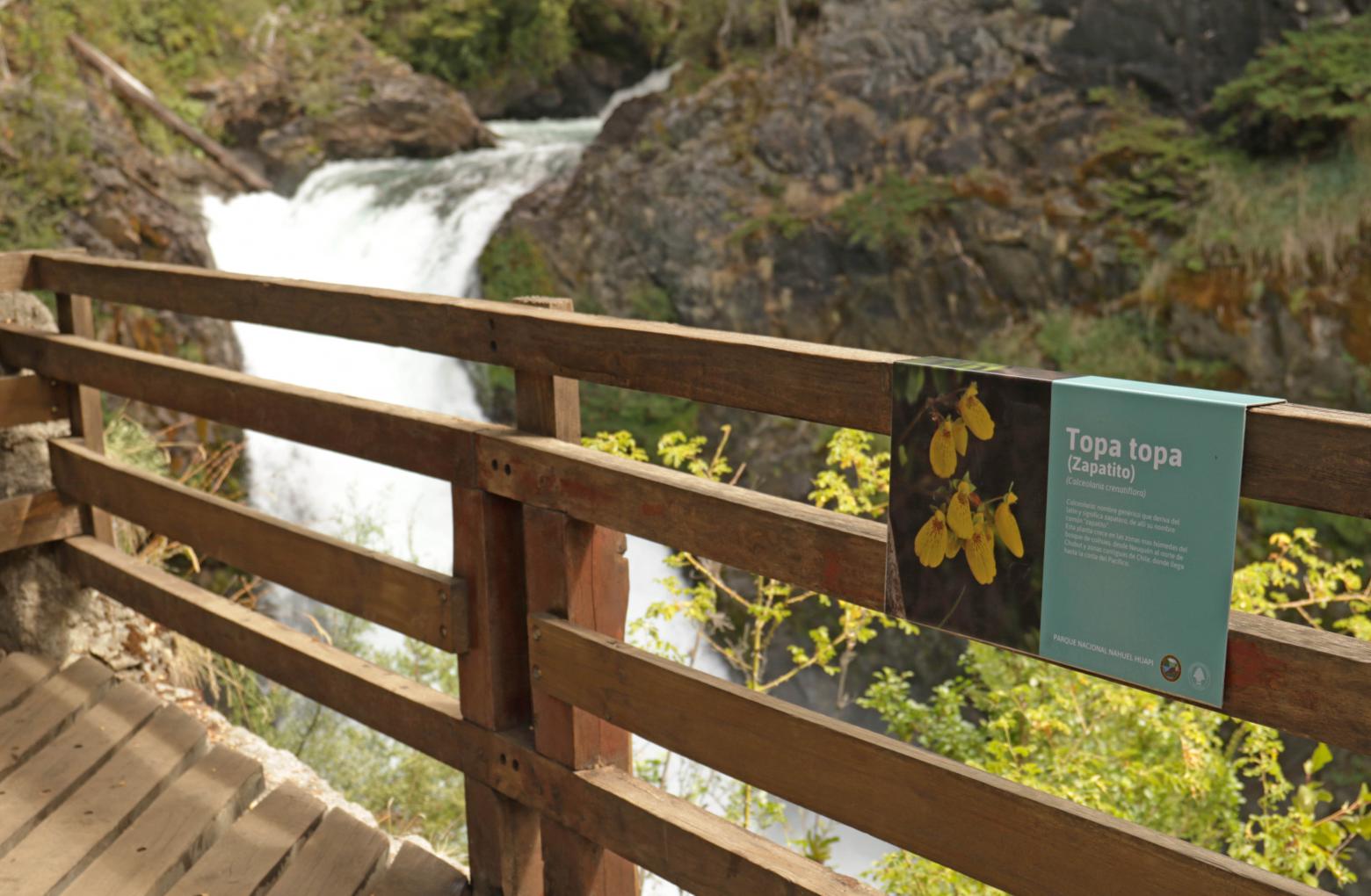 Reapertura del sendero a Cascada los Alerces