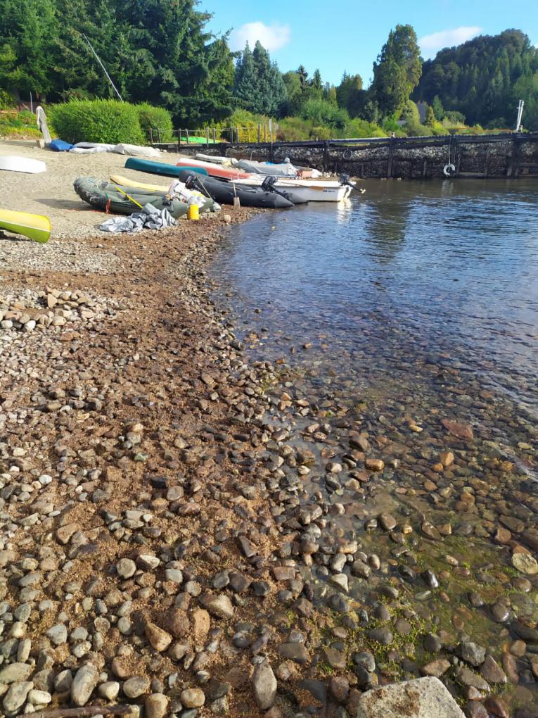 Presencia de hidrocarburo sobre un sector de la costa en el lago Nahuel Huapi