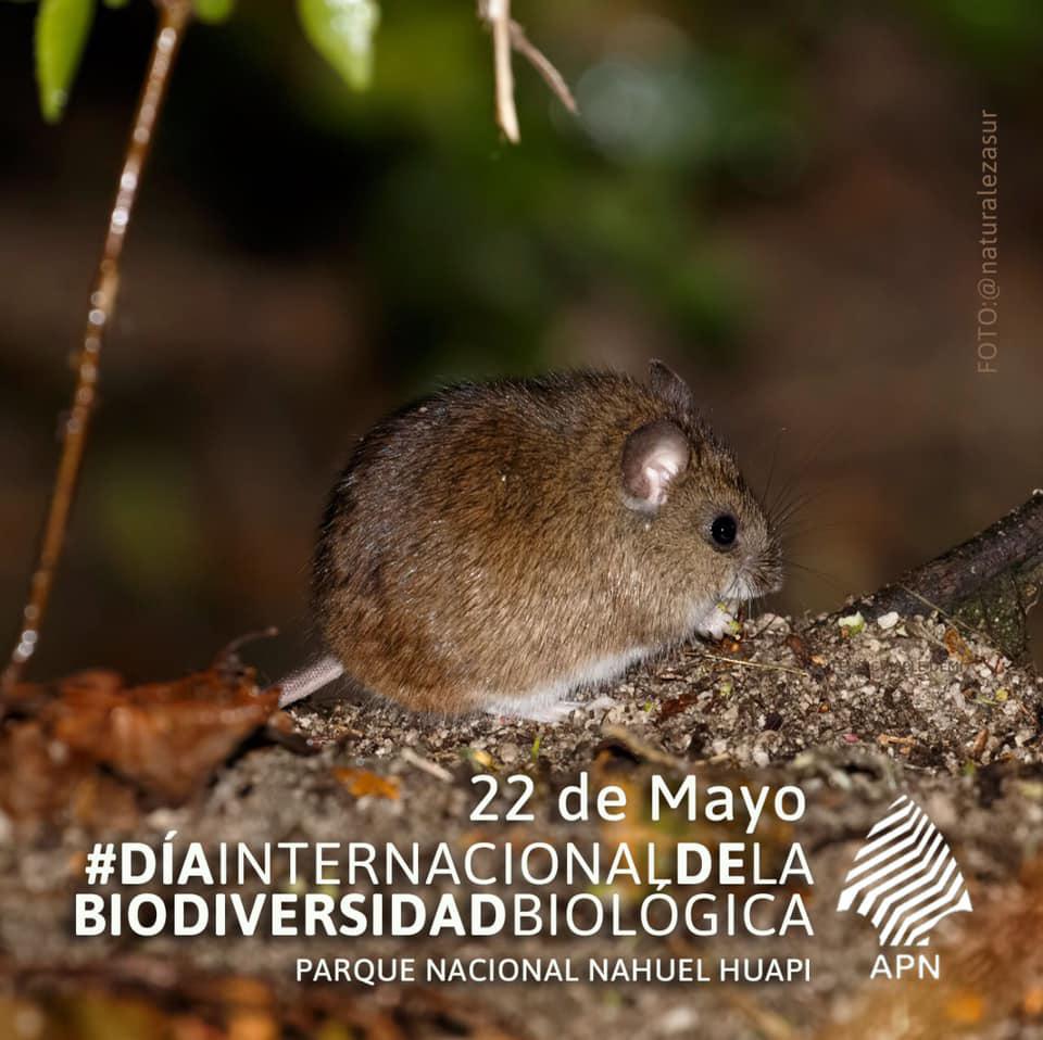 22 de mayo Dia de la diversidad biol&oacute;gica