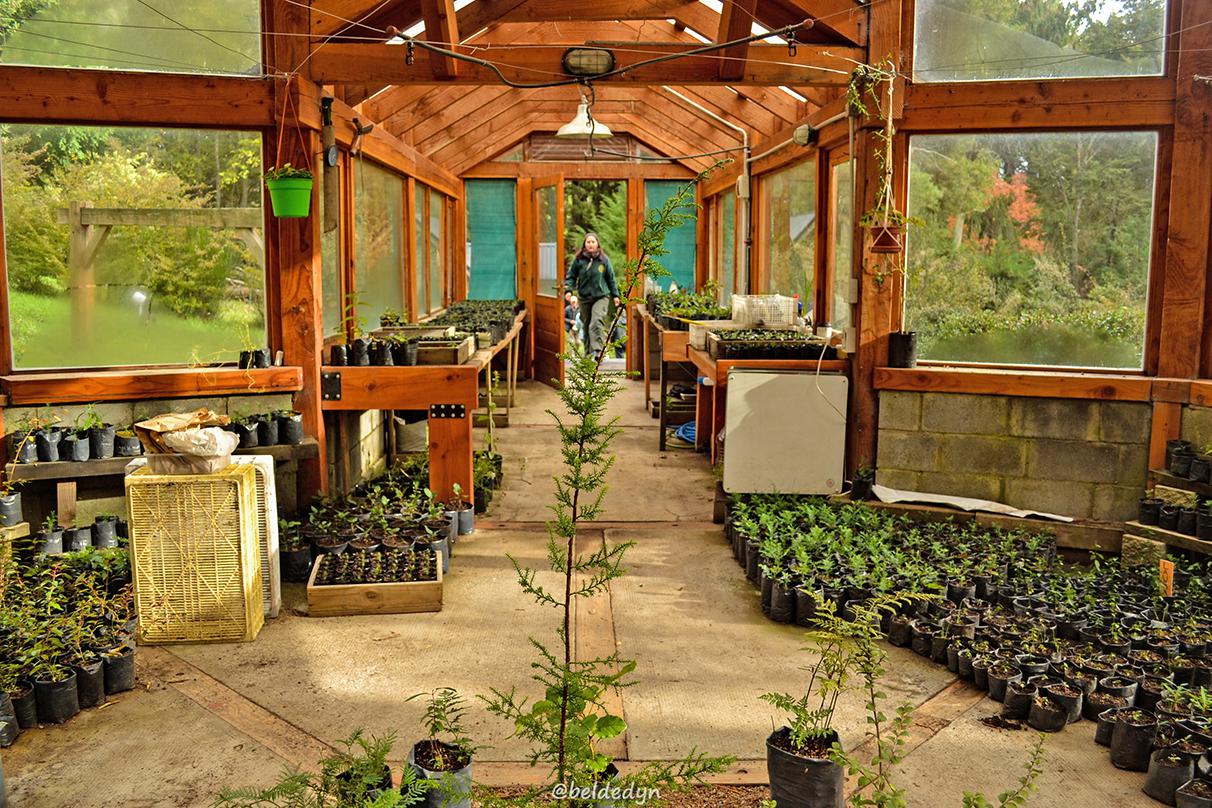 El Senado de la Naci&oacute;n reconoce al Jard&iacute;n Bot&aacute;nico de Isla Victoria del Parque Nacional Nahuel Huapi