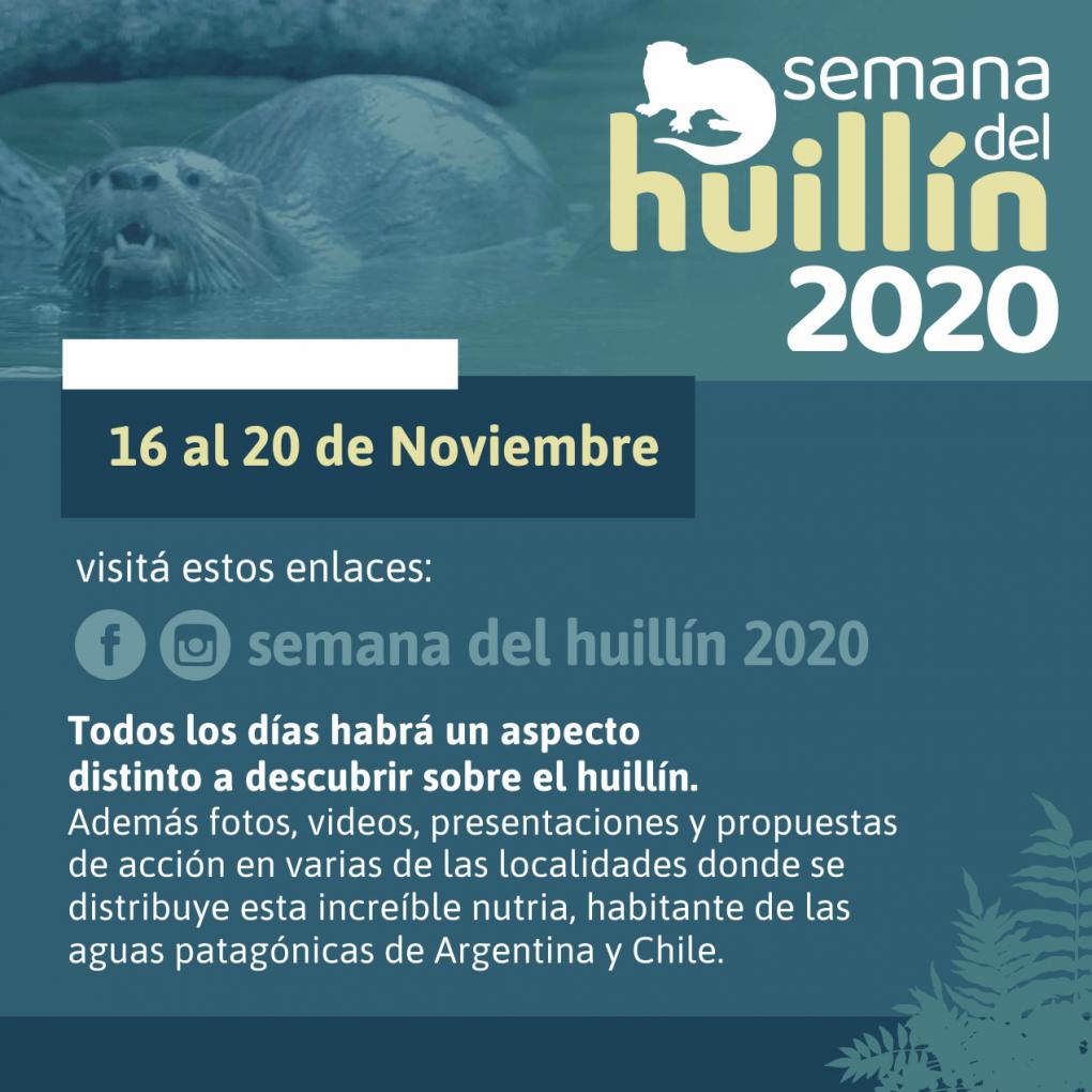 Semana del Huill&iacute;n 2020 