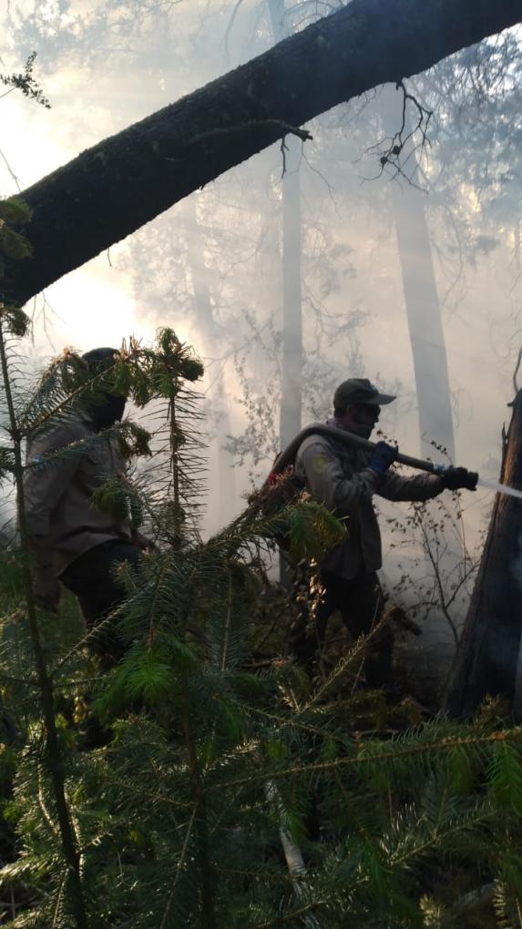 Incendio de Interfase en la zona de Lago Guti&eacute;rrez Ruta 40 Sur