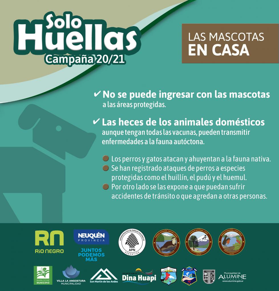 Campa&ntilde;a de prevenci&oacute;n &#147;Solo Huellas 20/21&#148;  Las mascotas deben quedar en casa