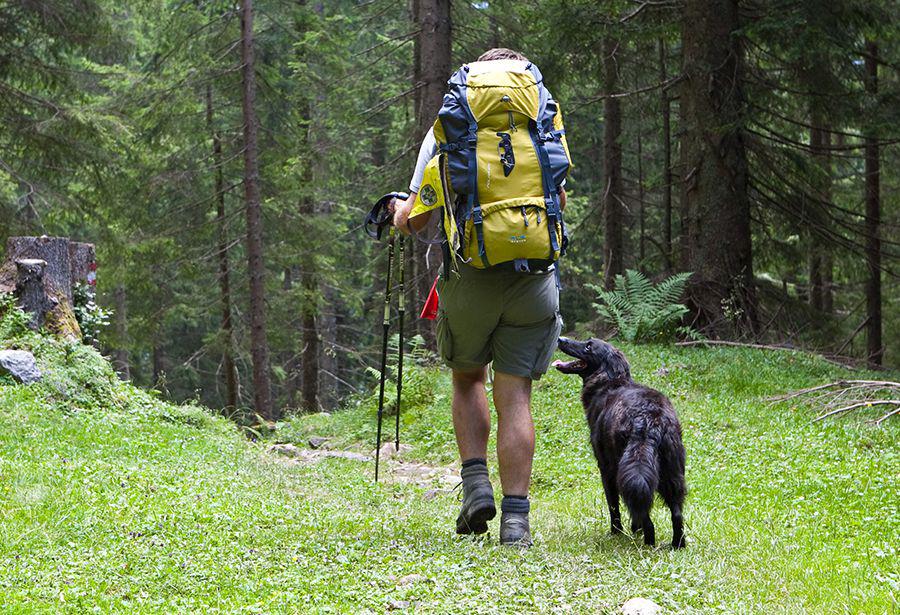 &iquest;Por qu&eacute; no hay que llevar los perros al Parque Nacional?