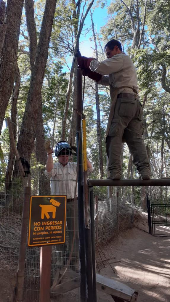 Cuidando al huill&iacute;n con acciones concretas desde el Parque Nacional Nahuel Huapi