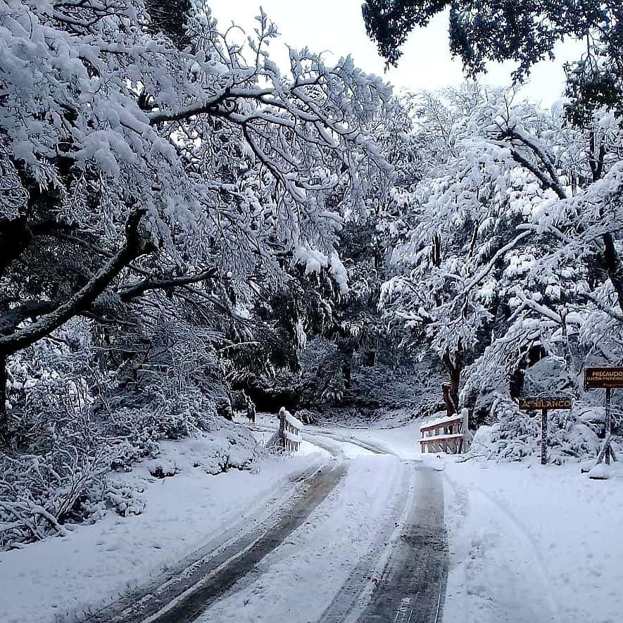 Lleg&oacute; la nieve!