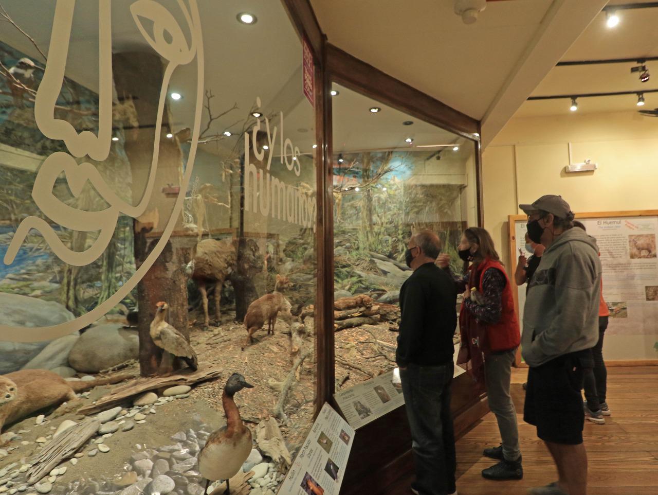 El Museo de la Patagonia tuvo una gran jornada en la "Noche de los Museos"