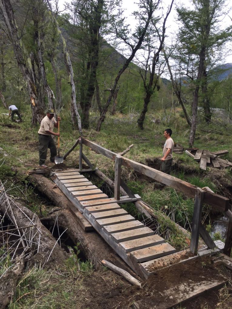 Nuevo puente en el Sendero a Laguna Il&oacute;n