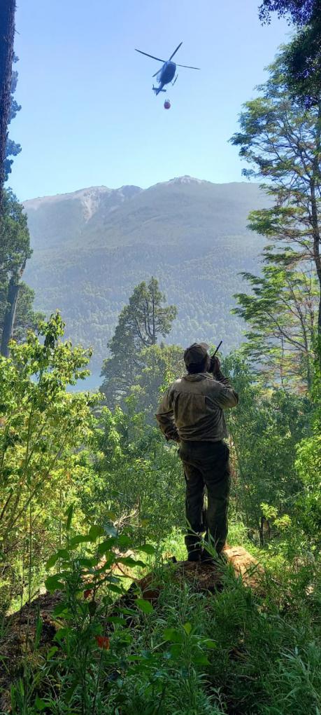 Trabajos en diferentes focos de incendio y monitoreo tras la tormenta el&eacute;ctrica en la zona sur del Parque Nacional Nahuel Huapi