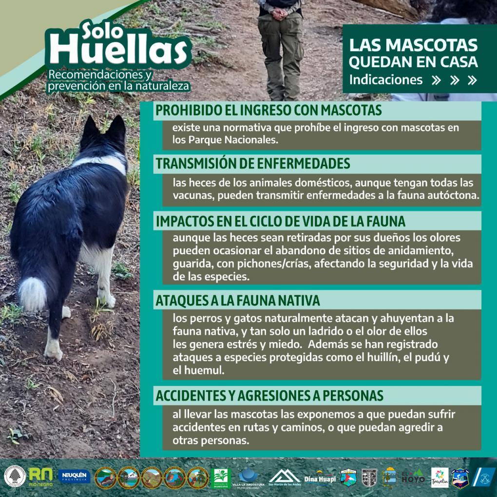 Las mascotas deben quedar en casa - Campa&ntilde;a regional &#147;Solo Huellas. Recomendaciones y cuidados en la naturaleza&#148;