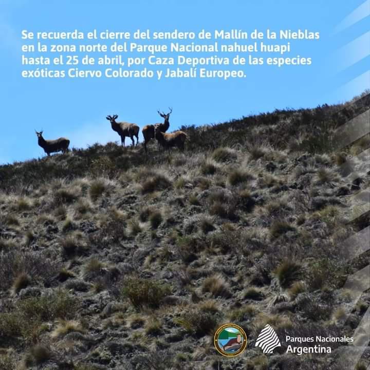 Se recuerda el cierre del sendero de Mallin de las Nieblas en zona norte del Parque Nacional Nahuel Huapi