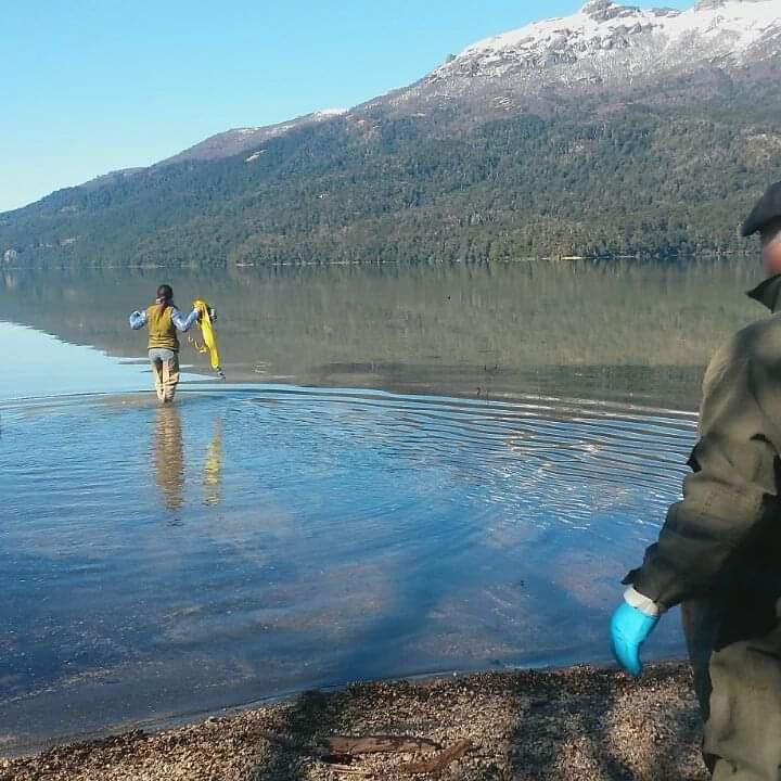 Muestreos de Alga Didymo