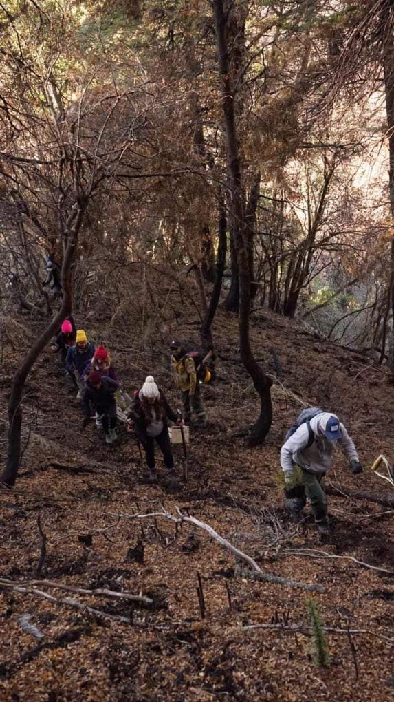 Exitosa primera jornada de plantaci&oacute;n de especies nativas en el Ca&ntilde;ad&oacute;n de la Mosca, zona sur del Parque Nacional Nahuel Huapi