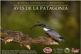 Exposici&oacute;n "Aves de la Patagonia 