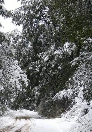 Cierre preventivo de Caminos dentro del Parque Nacional Nahuel Huapi