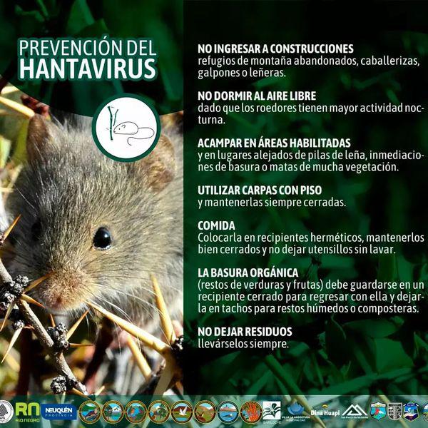 &#128045;"Solo Huellas. Hantavirus, prevenir enfermedades trasmitidas por roedores"