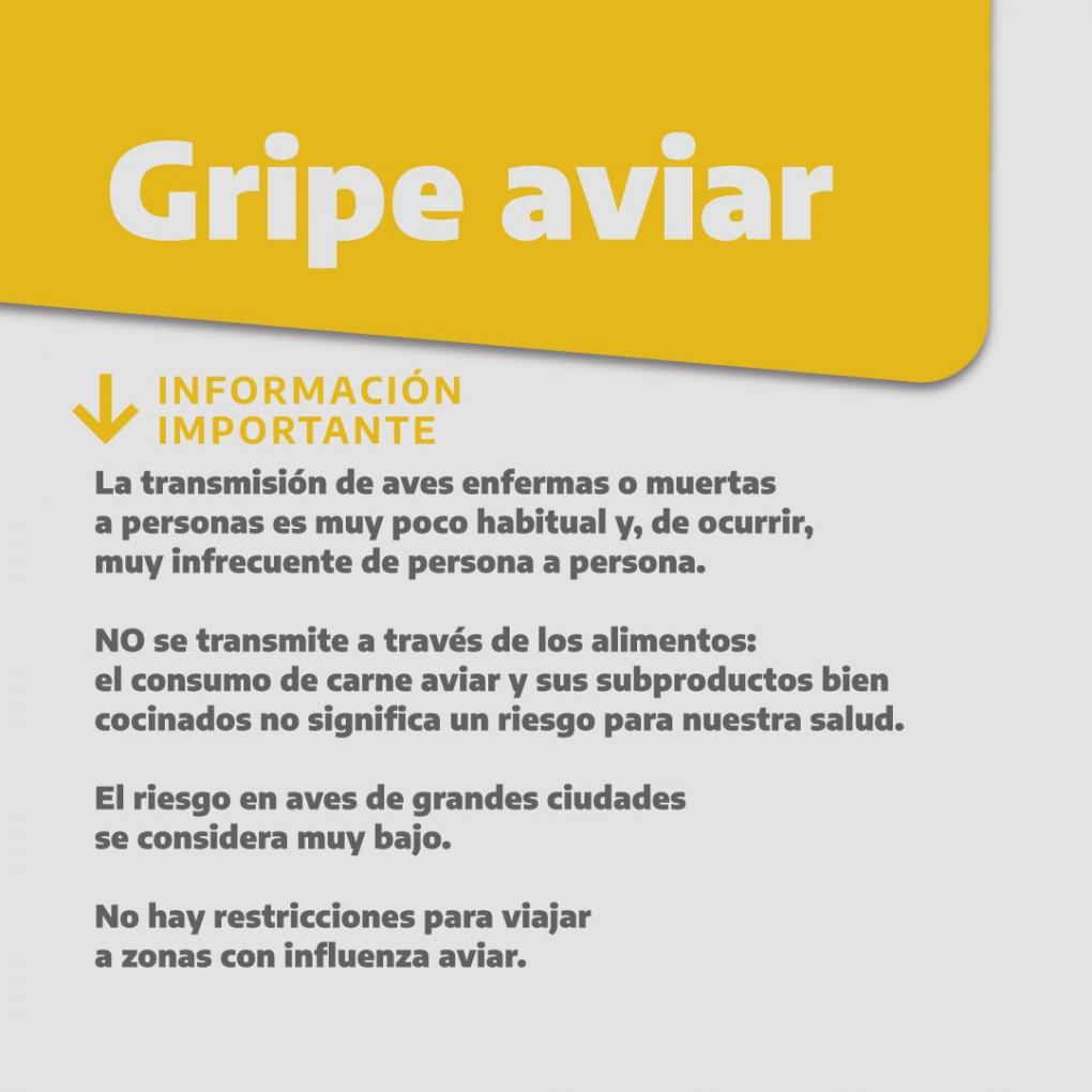  &#8252;&#65039;&#8252;&#65039; INFORMACI&Oacute;N IMPORTANTE SOBRE LA GRIPE AVIAR