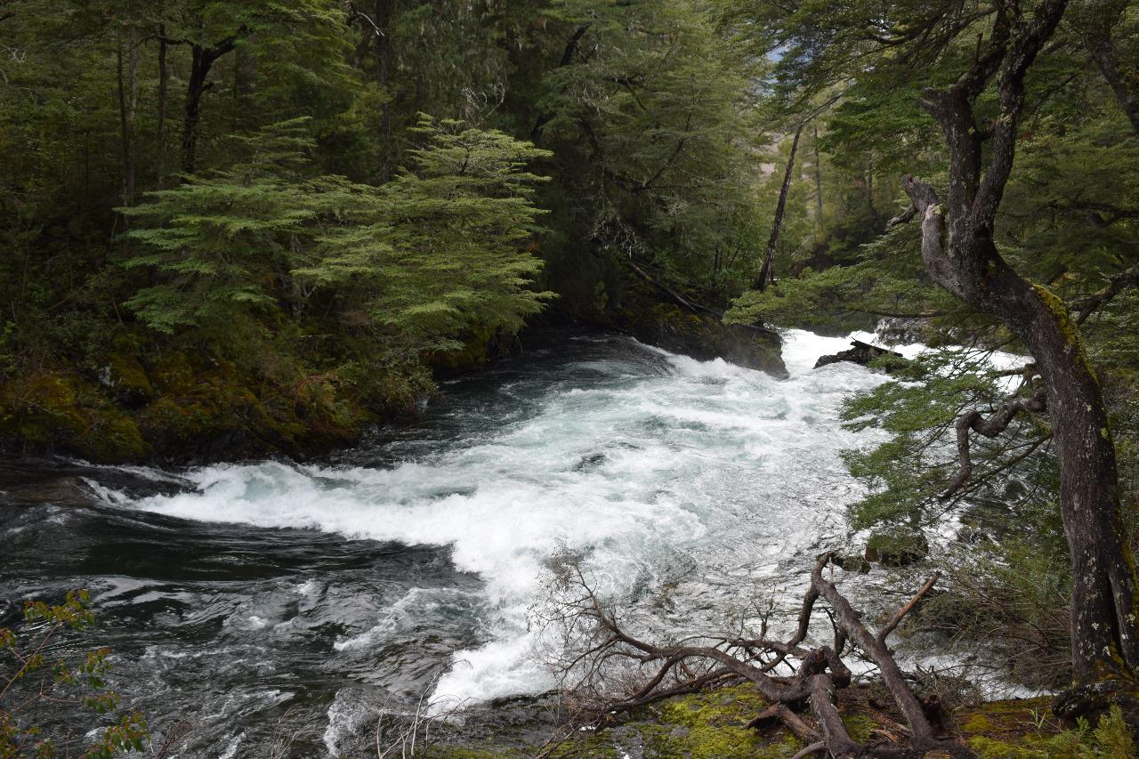 Reapertura de la senda a Cascada Los Alerces