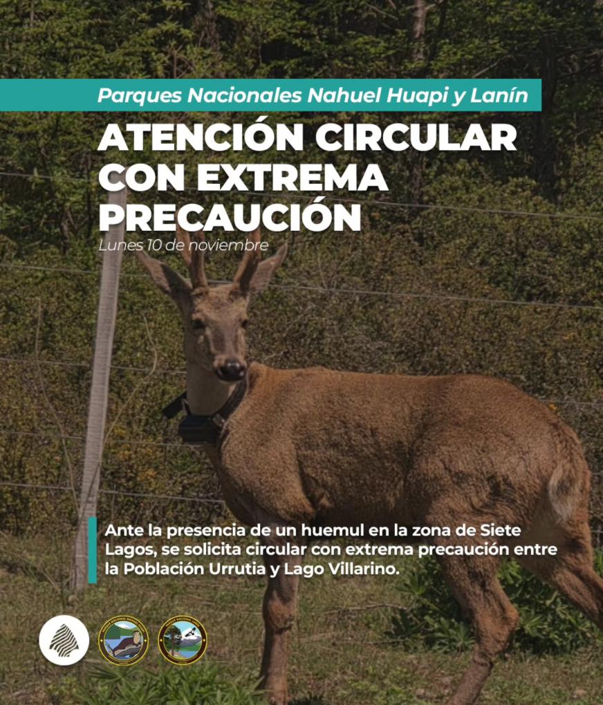 &#8252;&#65039;Circular con extrema precauci&oacute;n