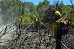 Contienen el incendio en el Parque Nacional Nahuel Huapi