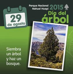 29 de agosto D&iacute;a del &Aacute;rbol