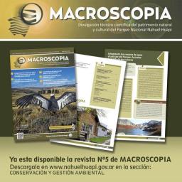 Revista Macroscopia n&ordm;5 disponible en su versi&oacute;n digital