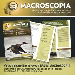 Nueva edici&oacute;n de Macroscopia, la revista t&eacute;cnico cient&iacute;fica del Parque Nacional Nahuel Huapi  
