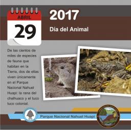 29 de abril: D&iacute;a del Animal