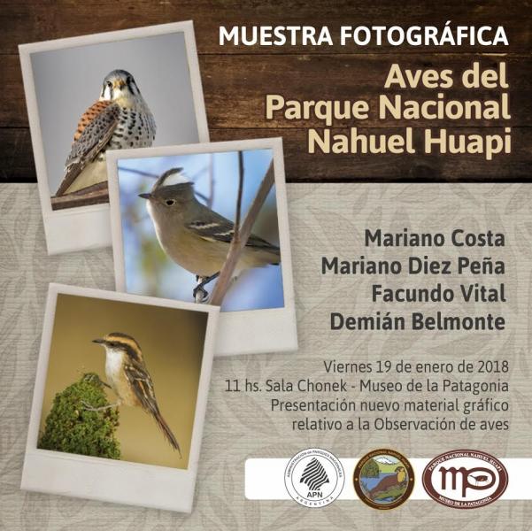 MUESTRA FOTOGRAFICA AVES DEL PARQUE NACIONAL NAHUEL HUAPI