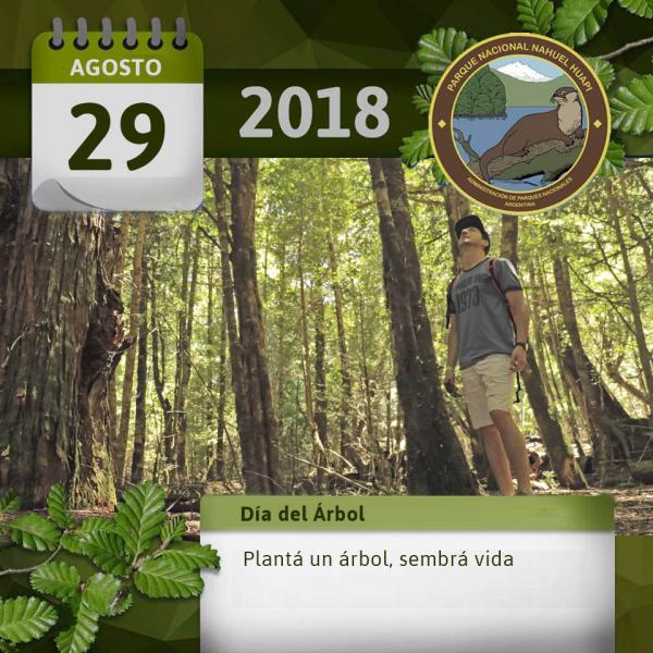 29 de agosto: D&iacute;a del &aacute;rbol