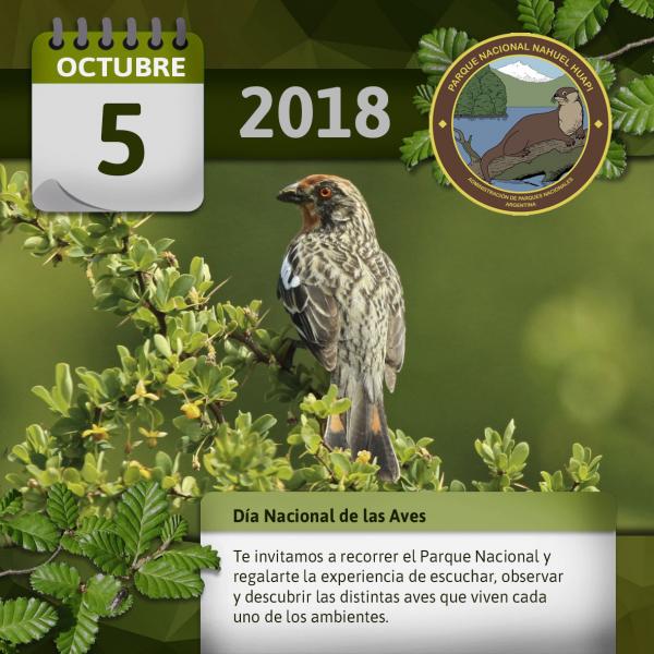 5 de octubre: D&iacute;a nacional del ave