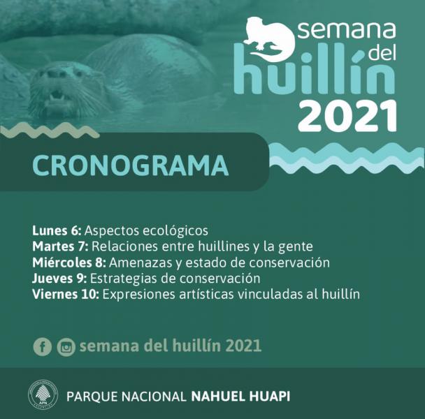 Argentina y Chile se unen para celebrar la semana del Huill&iacute;n