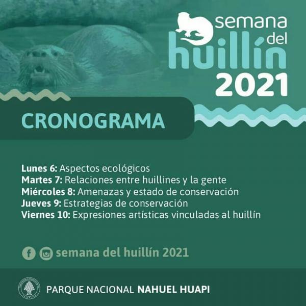 Cronograma completo de la Semana del huill&iacute;n