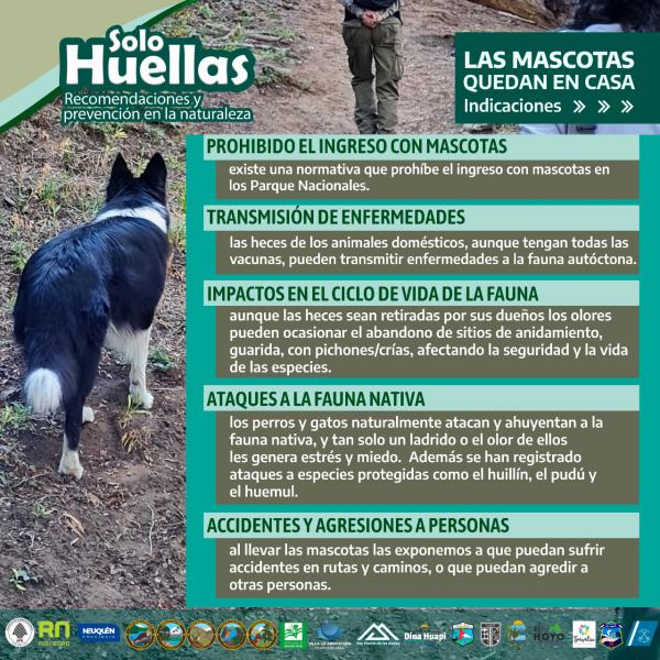 Las mascotas deben quedar en casa - Campa&ntilde;a regional Solo Huellas. Recomendaciones y cuidados en la naturaleza