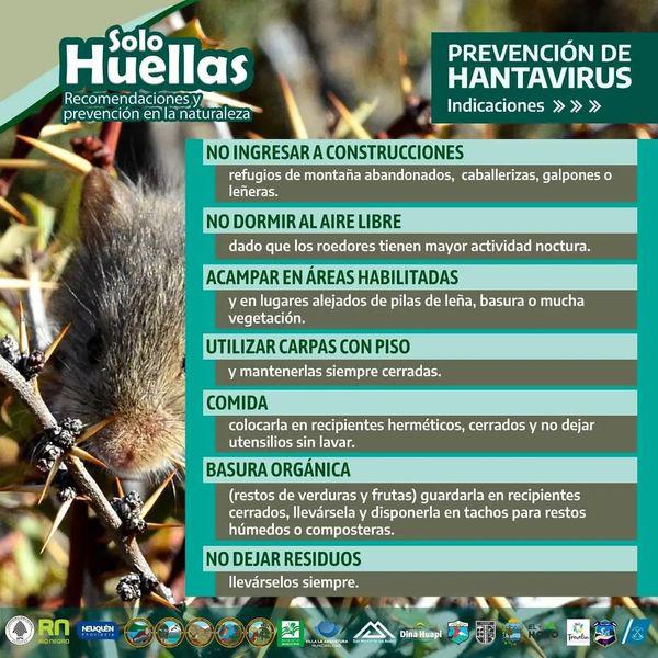 Campa&ntilde;a regional Solo Huellas. Hantavirus, prevenir enfermedades trasmitidas por roedores.