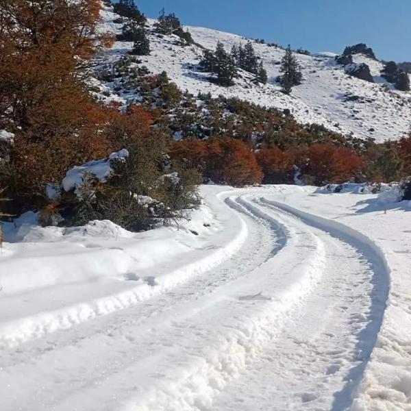 Sendas cerradas hasta nuevo aviso por acumulaci&oacute;n de hielo, nieve y ramas ca&iacute;das