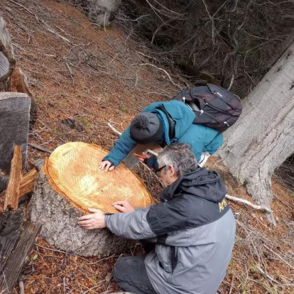 Encuentro en el Jard&iacute;n Bot&aacute;nico de Isla Victoria con un docente y alumnos de la carrera de Ingenier&iacute;a Forestal de la Universidad Nacional de la Patagonia San Juan Bosco de Esquel.