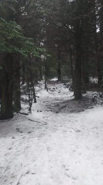 Estado de senderos en la Seccional Lago Guti&eacute;rrez y visitantes sin equipos adecuados para invierno 