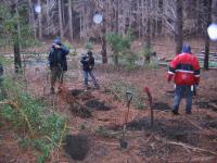  Ensayo de introducci&oacute;n controlada de 1040 plantines arb&oacute;reos en Isla Victoria