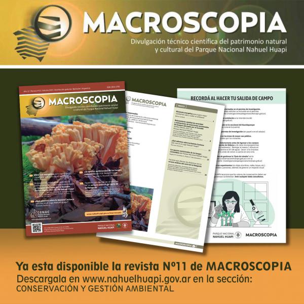 &#128218;Revista Macroscopia nueva edici&oacute;n 2023