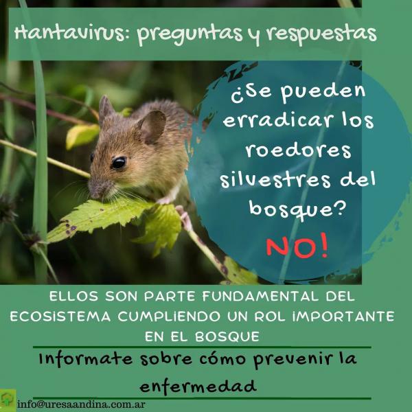 PREVENCI&Oacute;N DEL HANTAVIRUS