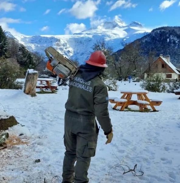 Parques trabajo en el despeje del camino a Tronador