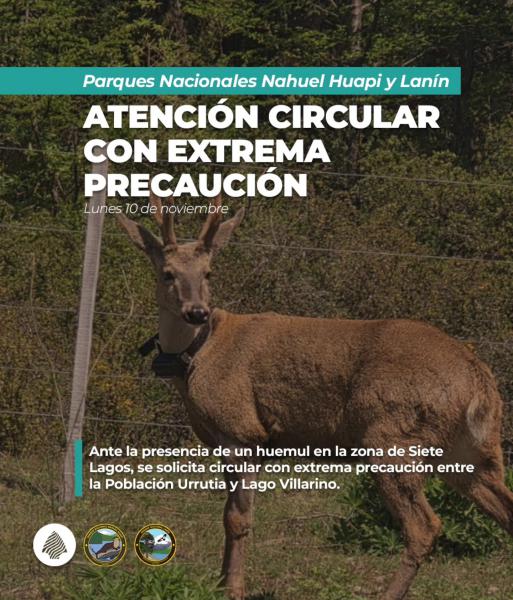 &#8252;&#65039;Circular con extrema precauci&oacute;n