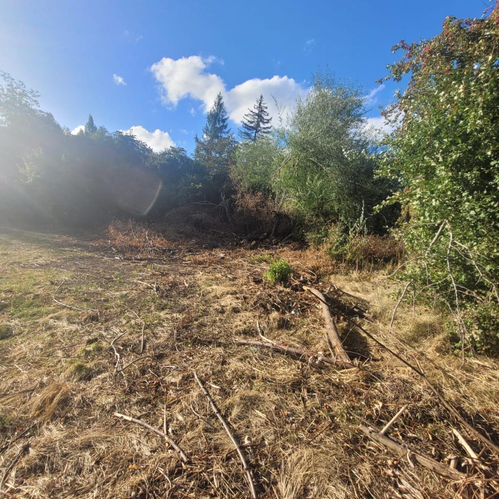 LAGUNA FANTASMA - ANTES DE TOCAR UN &Aacute;REA INTANGIBLE HAY QUE SABER HACERLO