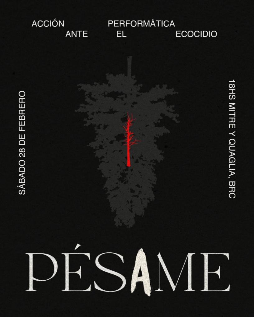 PERFORMANCE P&Eacute;SAME 