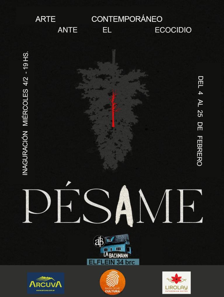 Nueva exposici&oacute;n en Casa Bachmann. Inauguraci&oacute;n mi&eacute;rcoles 04 de marzo a las 19 horas. 