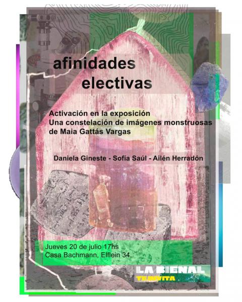 AFINIDADES ELECTIVAS