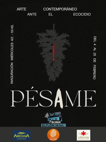 Nueva exposición en Casa Bachmann. Inauguración miércoles 04 de marzo a las 19 horas.