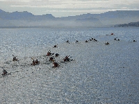 Se corri&oacute; la 3 edici&oacute;n de la REGATA K2  106* ANIVERSARIO BRC