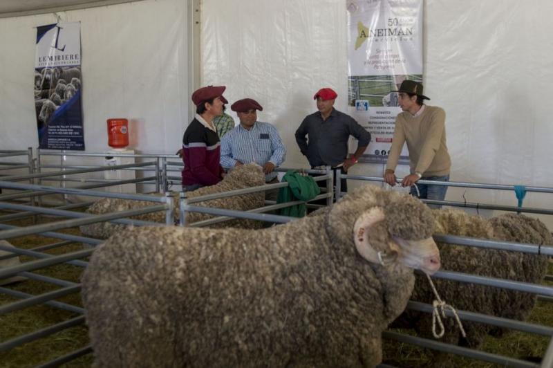 Comenz&oacute; la 38&ordf; edici&oacute;n de la Expo Rural con actividades para toda la familia